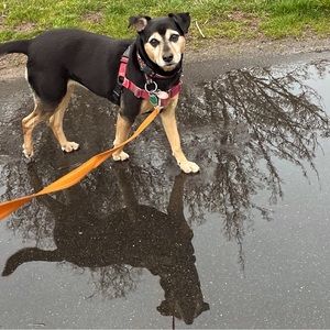 Meet your Posher, Barbara